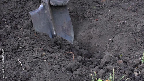 Wallpaper Mural A farmer digs a hole for planting a tree in the garden Torontodigital.ca
