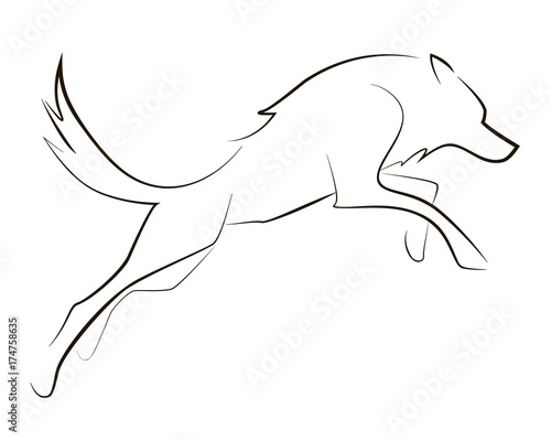 Running black line wolf on white background. Hand drawing vector graphic dog.