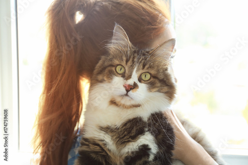 Fototapeta Naklejka Na Ścianę i Meble -  Woman holding fluffy cat. Adoption concept