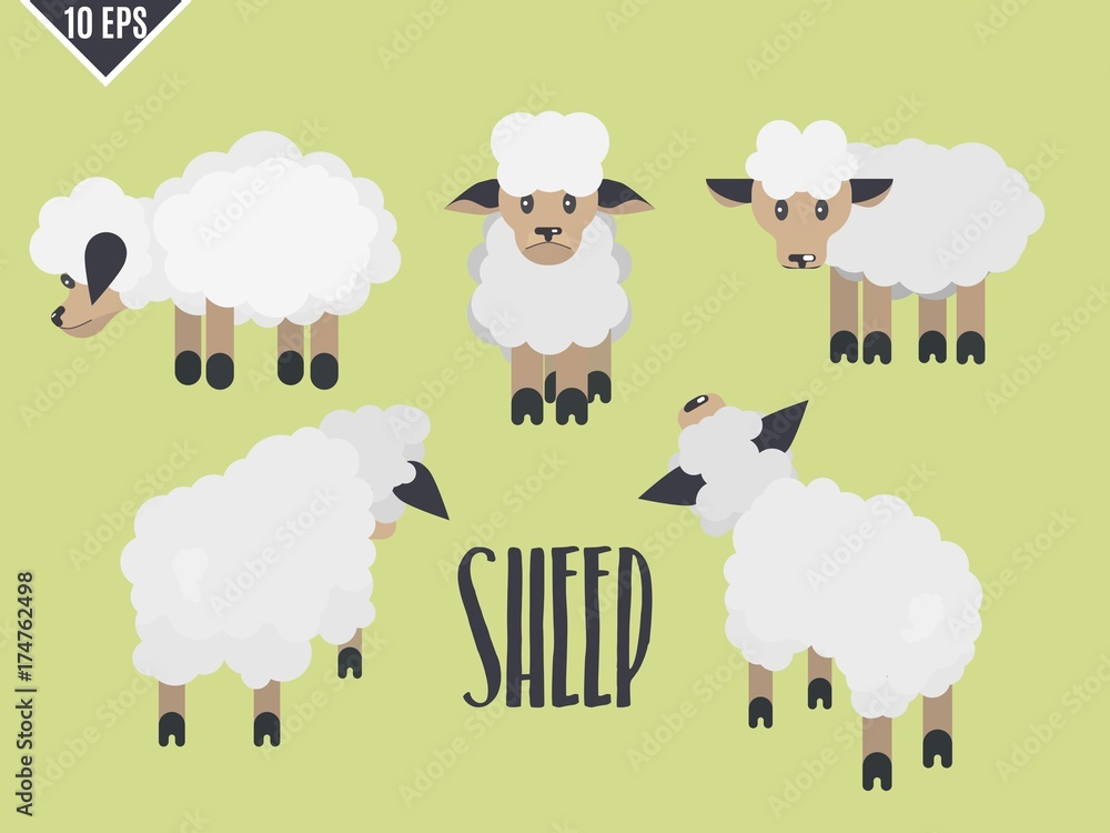 cute animal flat lamb selection cute animal flat lamb selection
