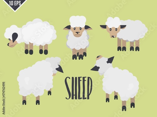 cute animal flat lamb selection