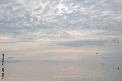 Gli uccelli volano sulle acque del lago Trasimeno durante il tramonto. 