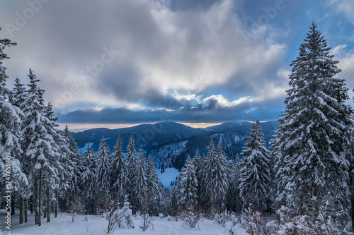 Der Schwarzwald im Winter