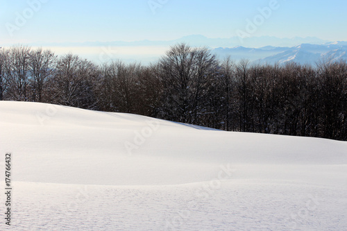 Alberi in inverno con la neve fresca © Paolo Goglio