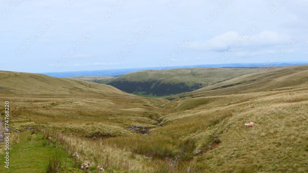 View of the valley of the hills. View of the valley of the hills.