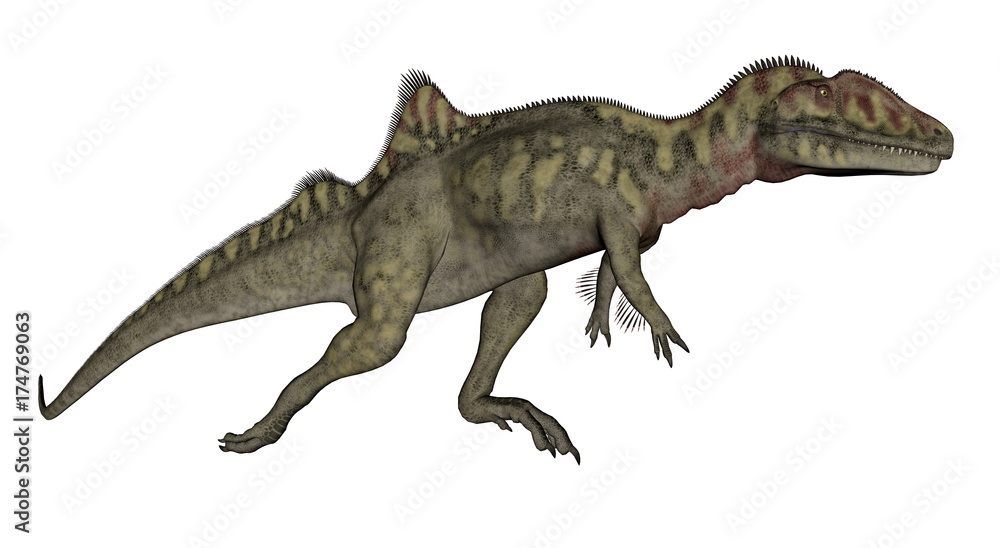 Concavenator dinosaur walking - 3D render Concavenator dinosaur walking - 3D render