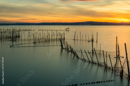 La Albufera  Valencia  Spain 