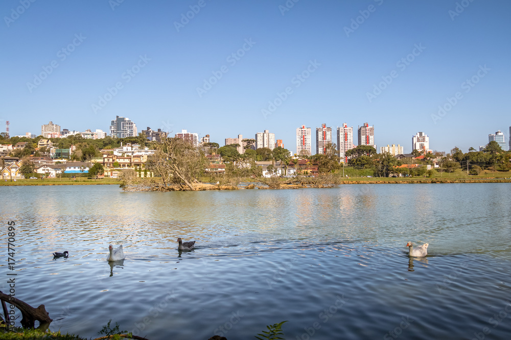 Lake view of Barigui Park with geese and city skyline - Curitiba, Parana, Brazil