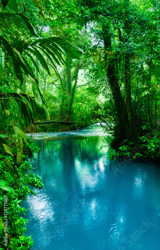 Blue Celeste River in Costa Rica © Dusseauphoto