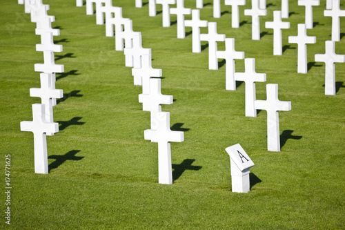 Military Cemetery Crosses photo