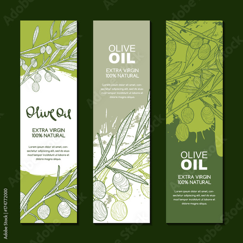 Set of vector backgrounds for label, package. Sketch hand drawn illustration of green olive branch. Concept for agriculture, organic food. Olive oil and cosmetics package badges.
