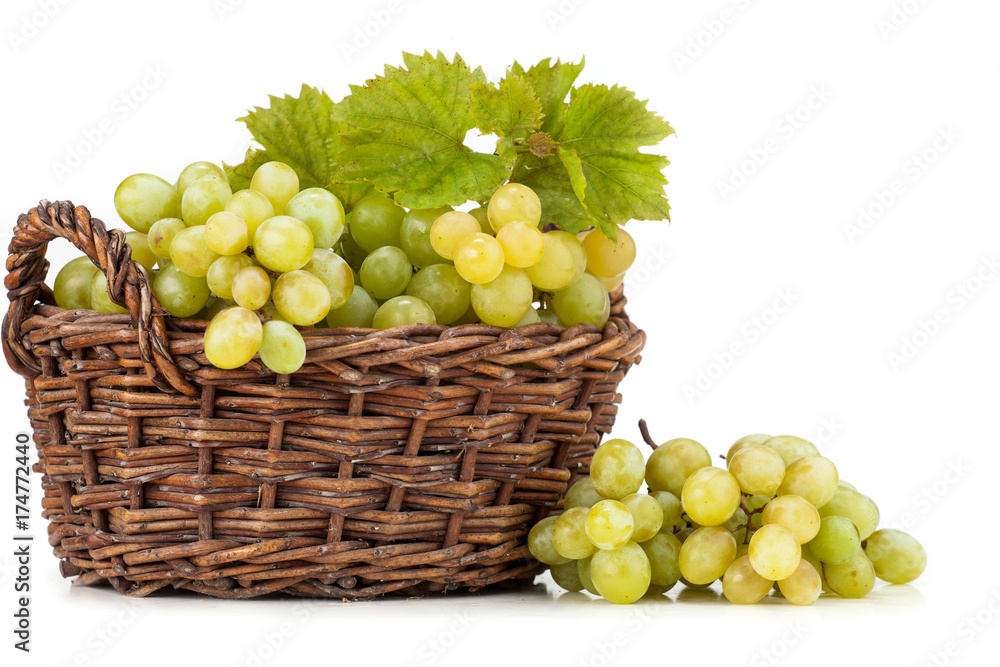 Winogrono w koszu. Olej z pestek winogron Winogrono w koszu. Olej z pestek winogron