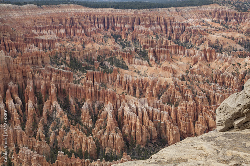 View of the magical golden hoodoos of Bryce Canyon National Park
