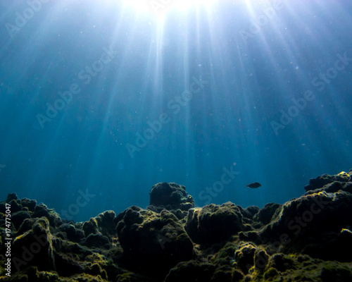 Underwater sun rays going down while a fish enjoying the magical moment