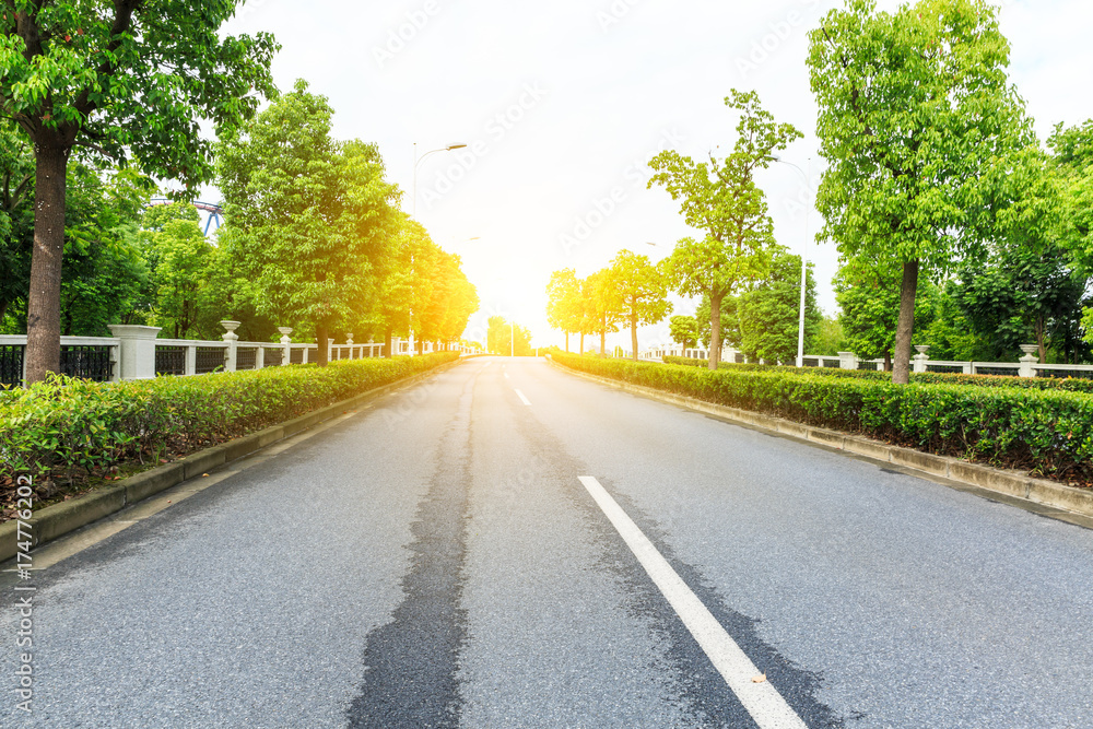 Country asphalt road through the green forest Country asphalt road through the green forest