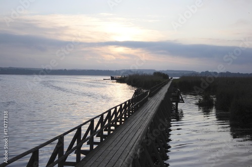 View from the Federsee footbridge on the Federsee lake  nature reserve near Bad Buchau  Upper Swabia  Baden-Wuerttemberg  Germany  Europe