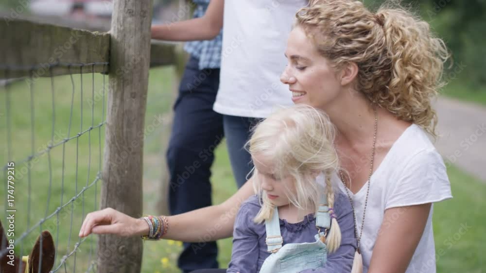 Families at community farm, mother & daughter petting cow through fence Families at community farm, mother & daughter petting cow through fence