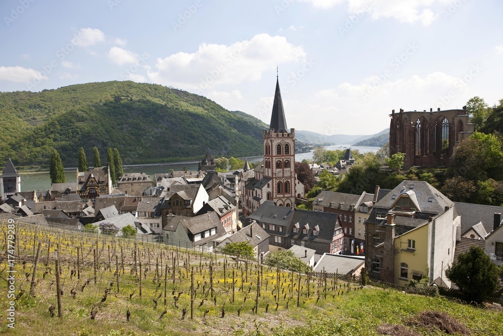 View of the St. Peter's Church and the ruin of Werner chapel in the old town of Bacharch, Unesco World Heritage Upper Middle Rhine Valley, Bacharach, Rhineland Palatinate, Germany, Europe