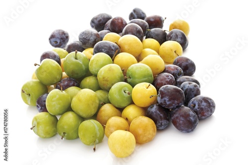 Greengages  Prunus italica   yellow plums and plums