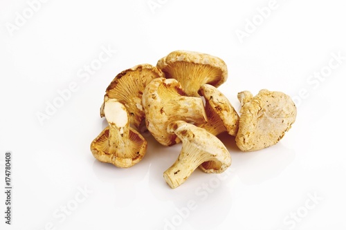 Small heap of chanterelle mushrooms