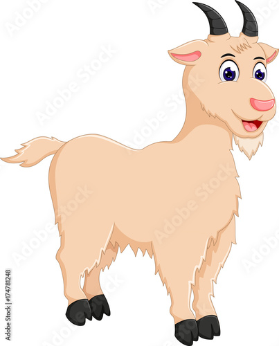 cute goat cartoon standing with smile photo