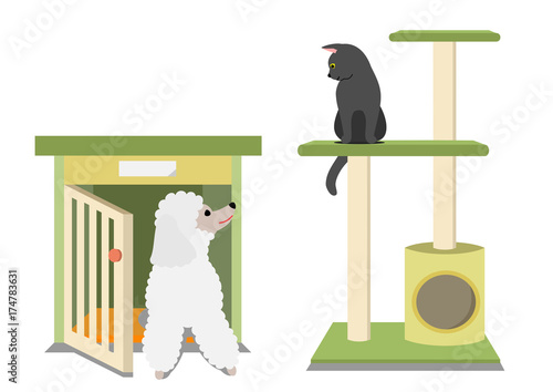cat on cat tower and dog in dog house
