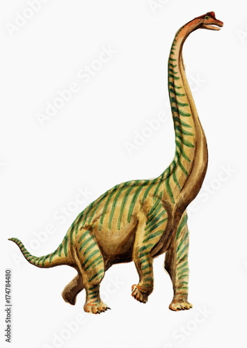 Рисунок акварелью "Брахиозавр"