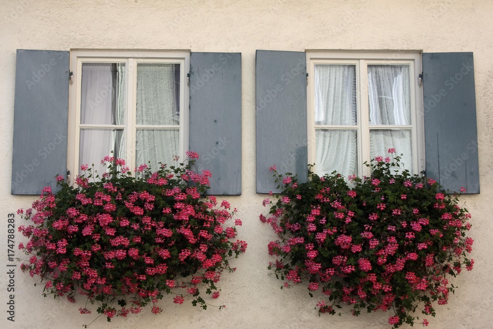 Windows with flower boxes