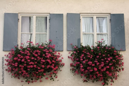 Windows with flower boxes