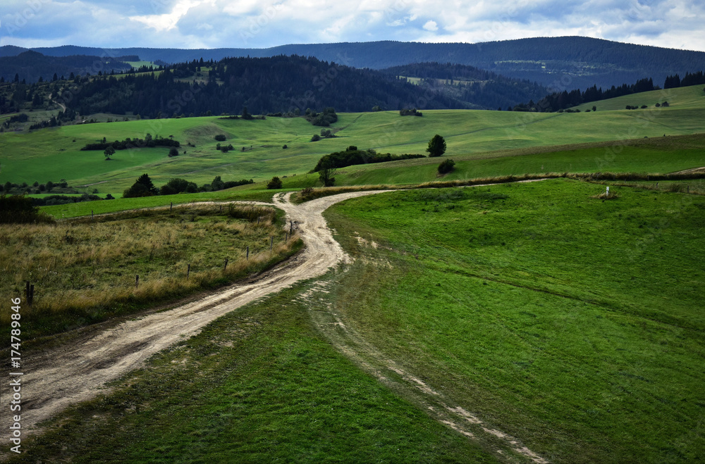 the crossroads of field roads in nature