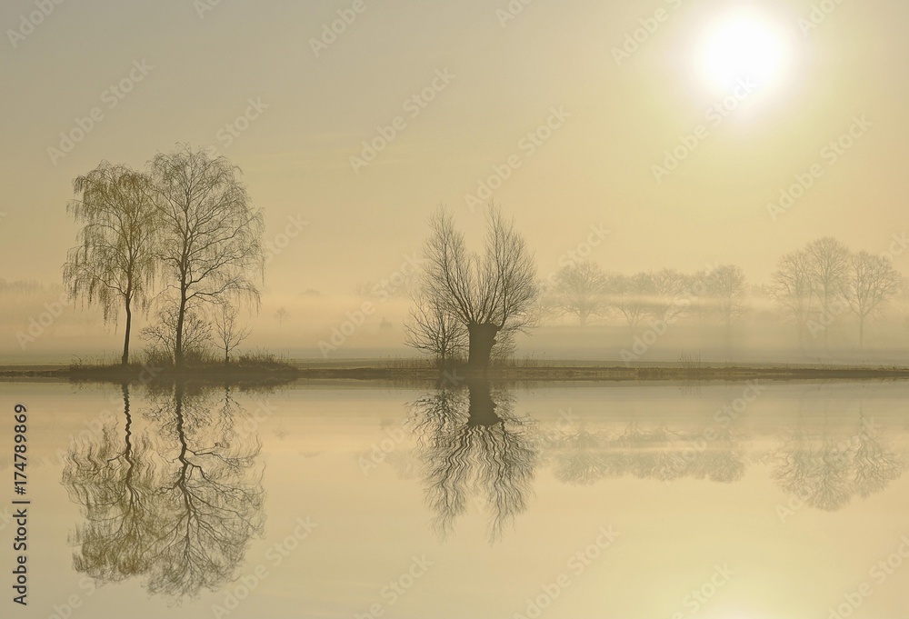 Fototapeta premium Morning mood at a lake at sunrise, near Tangstedt, Schleswig-Holstein, Germany, Europe