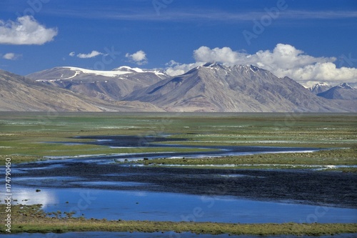 The plain south of Lake Moriri, Tso Moriri or Tsomoriri is criss-crossed by rivers, Kibber-Karzok-Trail, Changtang or Changthang, Ladakh, Indian Himalayas, Jammu and Kashmir, North India, India, Asia