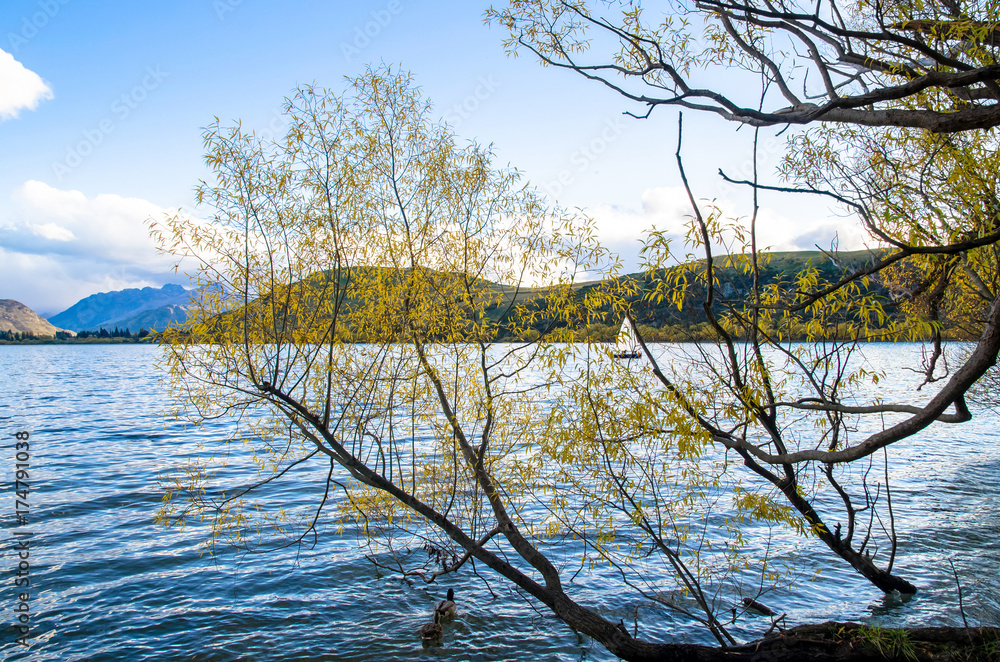 Obraz premium Lake Hayes is located in the Wakatipu Basin in Central Otago,South Island in New Zealand