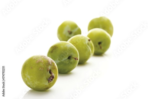 Greengages (Prunus italica)