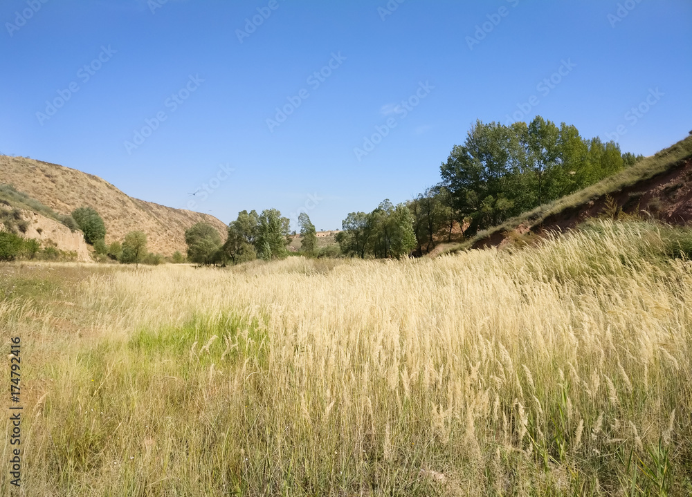 The Plateau Autumn Scene The Plateau Autumn Scene