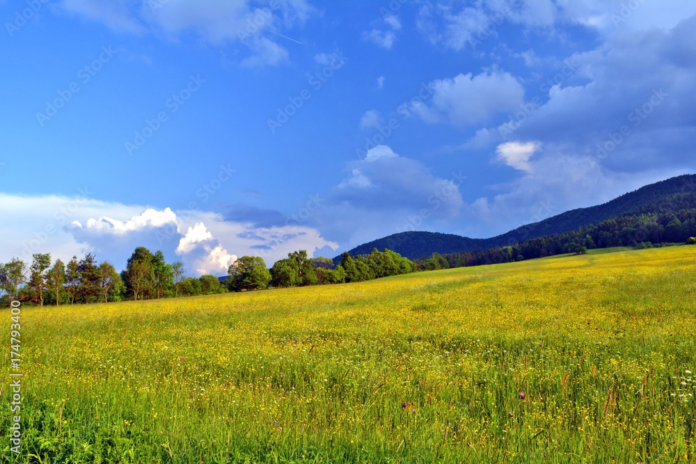Rural summer  landscape, Beskid Niski, Poland