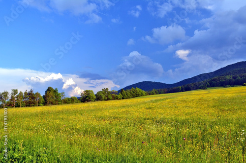 Rural summer  landscape, Beskid Niski, Poland © Jurek Adamski