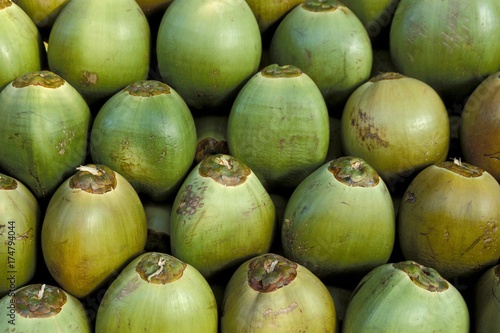 Coconuts piled up, Kerala, South India, India, Asia photo