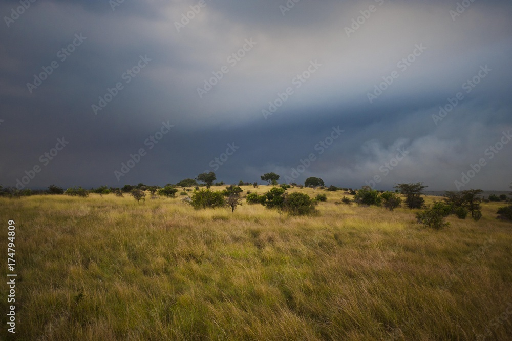 Serengeti with dark storm clouds, Tanzania, Africa
