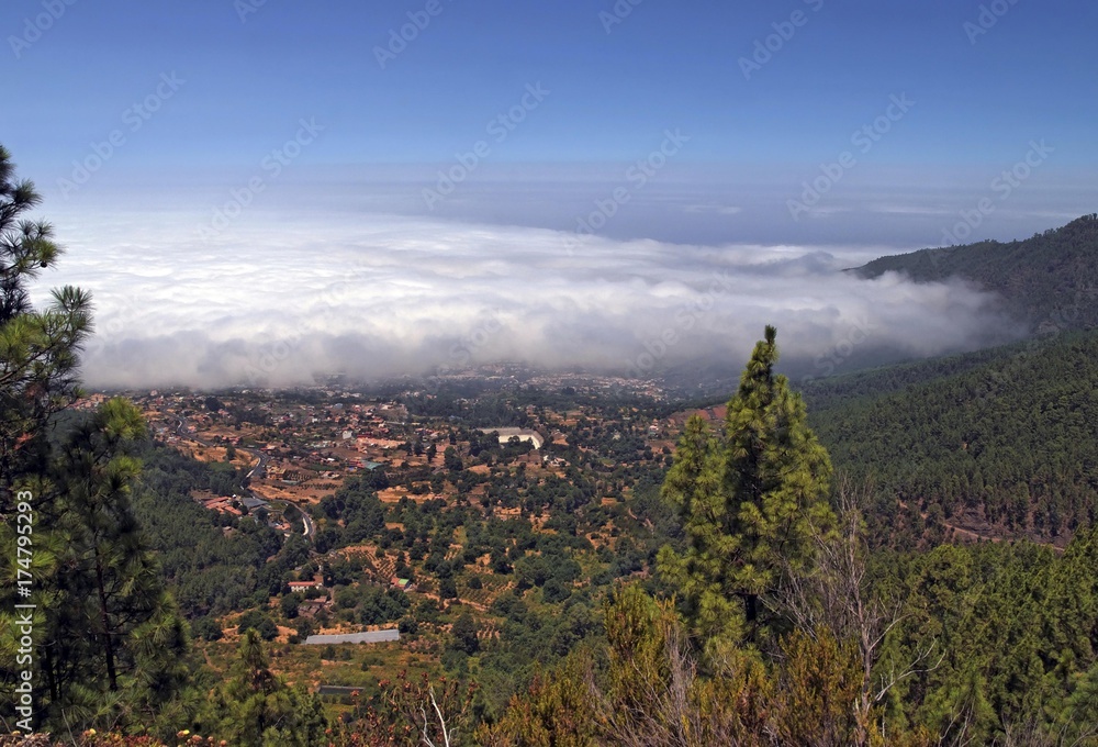 Trade wind clouds in the Orotava Valley and above the town of Orotava, Tenerife, Canary Islands, Spain, Europe
