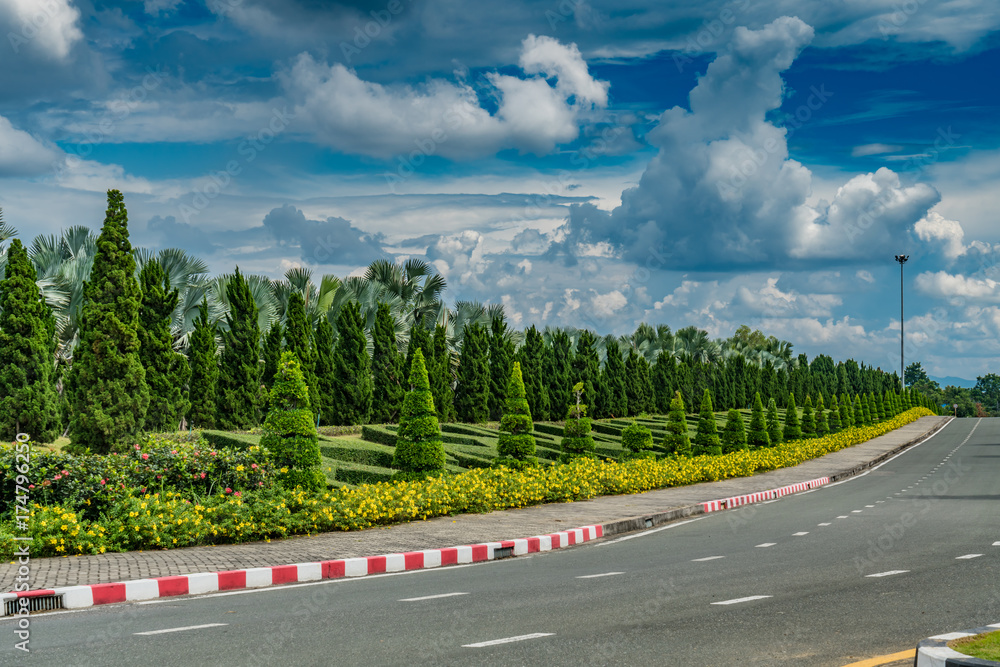 Fototapeta premium Road in the park