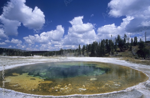 Beauty Pool, Yellowstone National Park, Wyoming, USA, North America