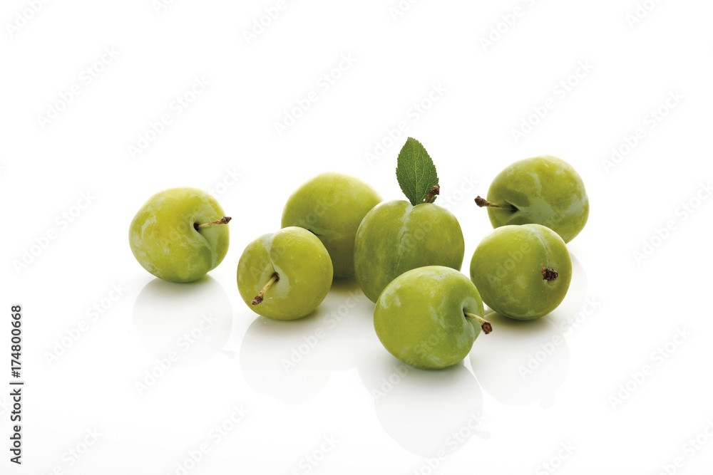Obraz premium Greengages (Prunus italica) with small leaves