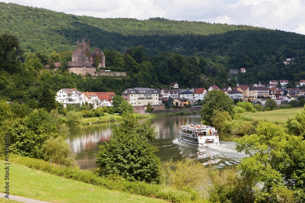 Neckarsteinach, Mittelburg Castle, tourist boat, Vierburgeneck, Neckartal Nature Park, Neckar River, Odenwald, Hesse, Germany, Europe, PublicGround, Europe