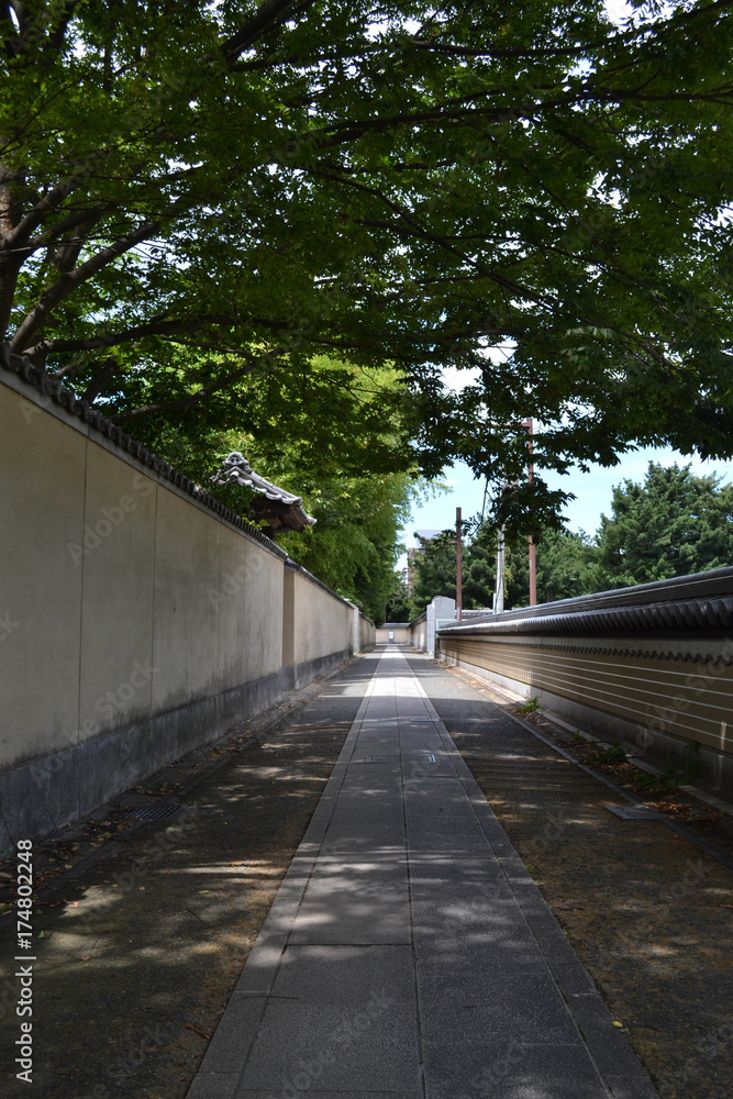 An empty street in Fukuoka, Japan. Pic was taken in August 2017.