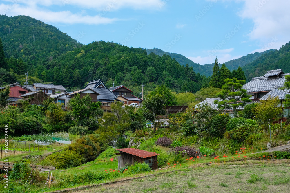Obraz premium のどかな風景