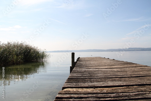 Wallpaper Mural Anleger aus Holz Torontodigital.ca