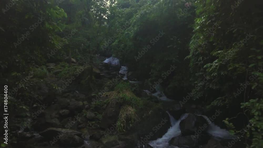 aerial shot of a stream in tropical forest aerial shot of a stream in tropical forest