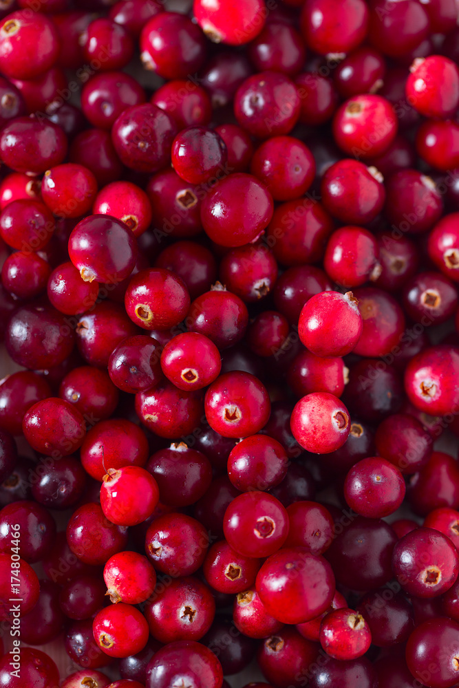 fresh cranberries on white wooden surface fresh cranberries on white wooden surface