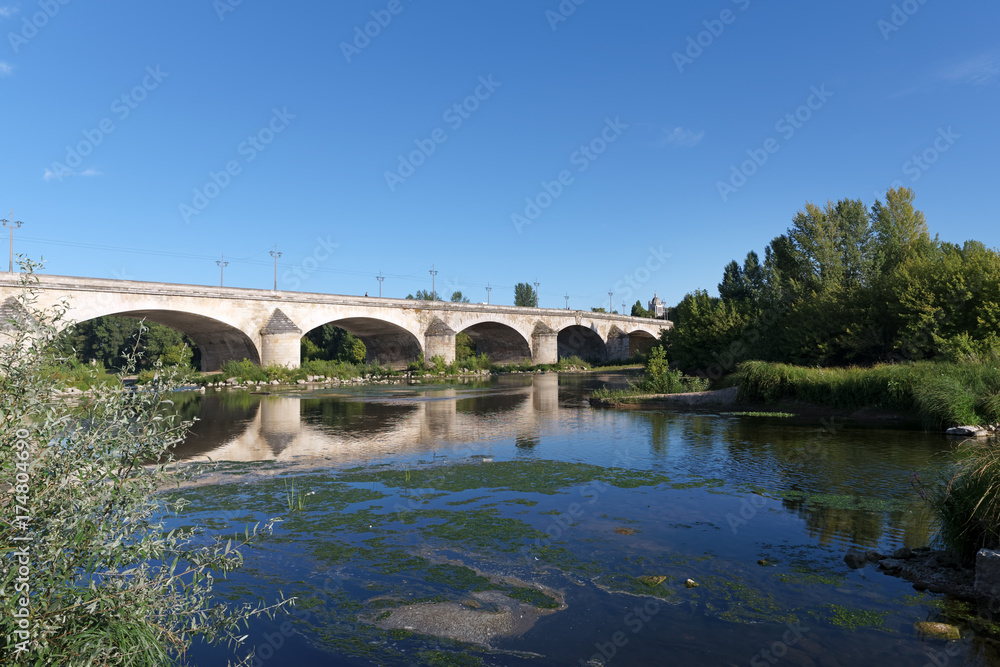 Fototapeta premium Pont royal et rivee de la Loire à Orléans